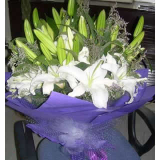 rQ ŭ  ăݣġϡ 15֧ɫ^ˮٺ
b ɫdb 
